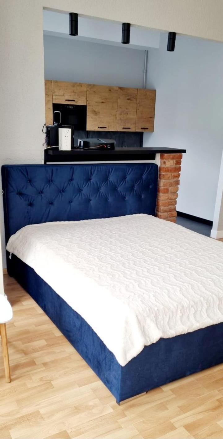 Apartamenty Lazurowy I Sloneczny Z Darmowym Parkingiem Strzezonym Jelenia Góra Exterior foto